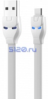 ������ USB - TYPE-C hoco. U14 Steel, �����
